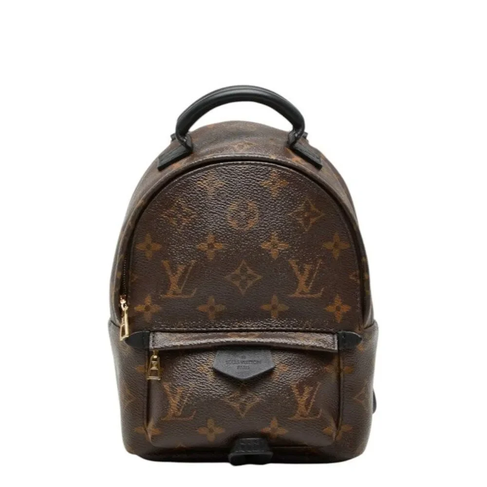 Louis Vuitton Palm Springs Mini Monogram Backpack